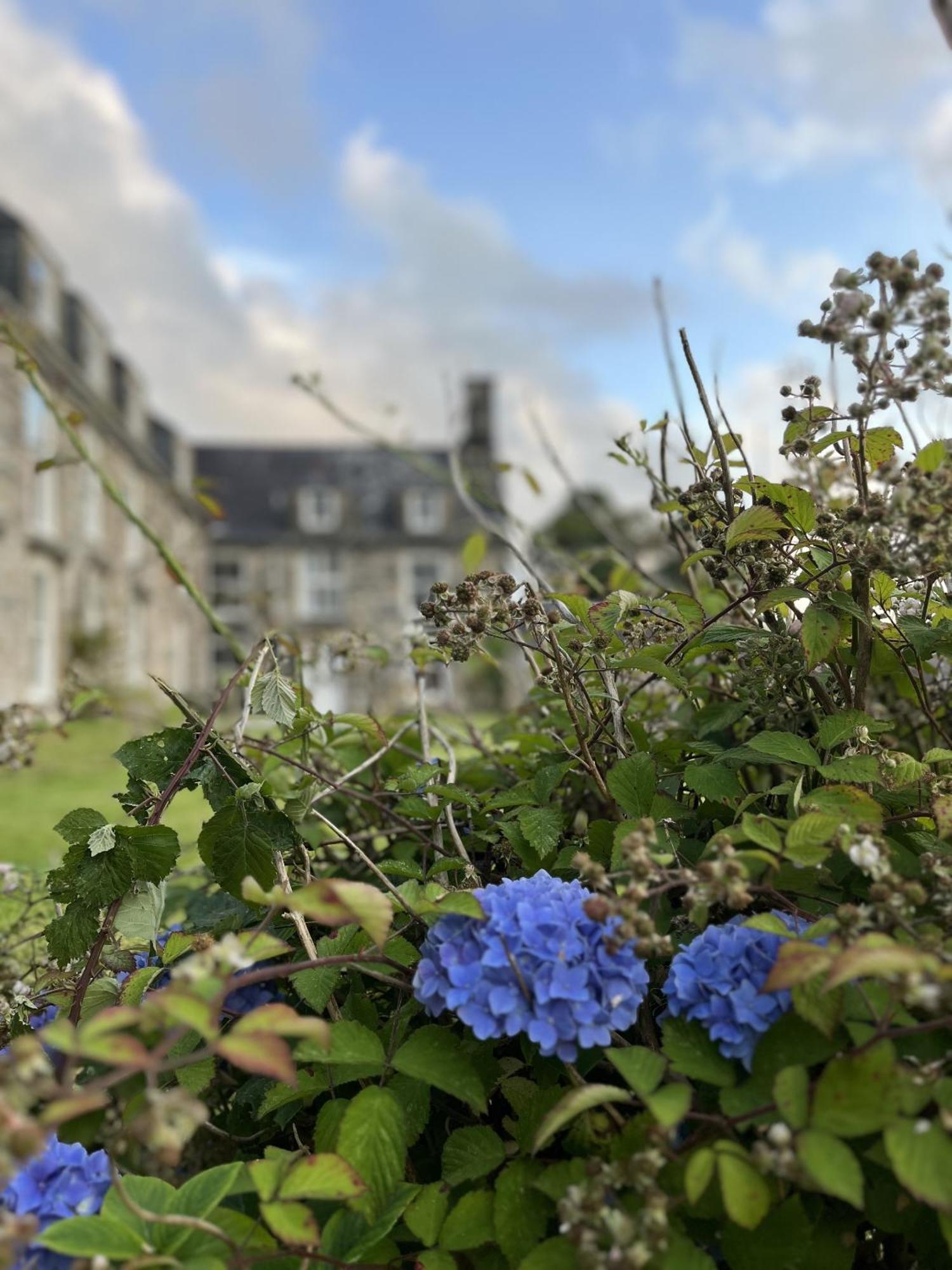 Maes Y Neuadd Talsarnau Rom bilde